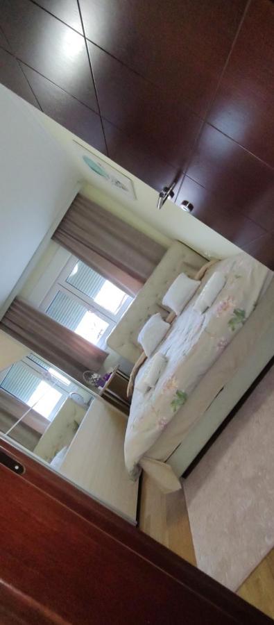 Apartman Mali Raj Vrnjačka Banja Buitenkant foto