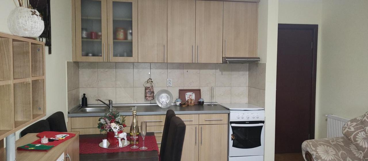 Apartman Mali Raj Vrnjačka Banja Buitenkant foto